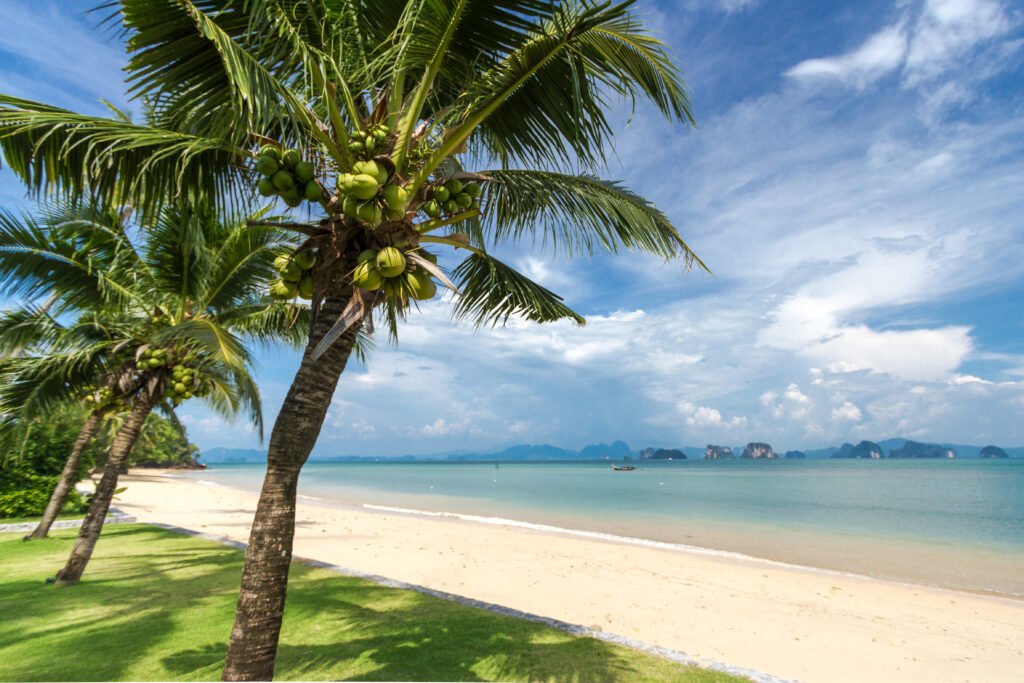 Coastal Escape, Klong Jark Beach, Koh Yao Noi